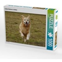 CALVENDO Puzzle Golden Retriever in Aktion 1000 Teile Lege-Größe 64 x 48 cm Foto-Puzzle Bild von Kattobello von xxx