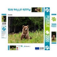 CALVENDO Puzzle Grizzlybär 2000 Teile Lege-Größe 900 x 670 cm Foto-Puzzle Bild von Roland Brack CALVENDO Puzzle Grizzlybär 2000 Teile Lege-Größe 900 x 670 cm Foto-Puzzle Bild von Roland Brack von Calvendo Puzzle