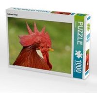 CALVENDO Puzzle Hahnen Haupt 1000 Teile Lege-Größe 64 x 48 cm Foto-Puzzle Bild von Kattobello von xxx