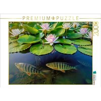 CALVENDO Puzzle Im Tanz der Seerosen. 2000 Teile Lege-Größe 90 × 67 cm Foto-Puzzle für glückliche Stunden CALVENDO Puzzle Im Tanz der Seerosen. 2000 Teile Lege-Größe 90 × 67 cm Foto-Puzzle für glückliche Stunden von Calvendo Puzzle