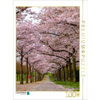 CALVENDO Puzzle Japanische Blütenkirschen im Paradiesgarten 1000 Teile Lege-Größe 64x48cm Foto-Puzzle für glückliche Stunden CALVENDO Puzzle Japanische Blütenkirschen im Paradiesgarten 1000 Teile Lege-Größe 64x48cm Foto-Puzzle für glückliche Stunden von Calvendo Puzzle