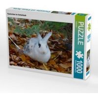 CALVENDO Puzzle Kaninchen im Herbstlaub 1000 Teile Lege-Größe 64 x 48 cm Foto-Puzzle Bild von Kattobello von Calvendo