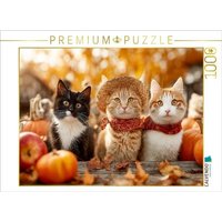 CALVENDO Puzzle Katzen im Herbst zwischen Kürbissen und Äpfeln 1000 Teile Lege-Größe 64x48cm Foto-Puzzle für glückliche Stunden CALVENDO Puzzle Katzen im Herbst zwischen Kürbissen und Äpfeln 1000 Teile Lege-Größe 64x48cm Foto-Puzzle für glückliche Stunden von Calvendo Puzzle