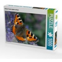 CALVENDO Puzzle Kleiner Fuchs (Aglais urticae) 1000 Teile Lege-Größe 64 x 48 cm Foto-Puzzle Bild von kattobello von Calvendo Puzzle