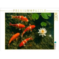 CALVENDO Puzzle Koi-Karpfen im Teich - Ausdauer, Harmonie und Überfluss 2000 Teile Lege-Größe 90x67cm Foto-Puzzle für glückliche Stunden CALVENDO Puzzle Koi-Karpfen im Teich - Ausdauer, Harmonie und Überfluss 2000 Teile Lege-Größe 90x67cm Foto-Puzzle für glückliche Stunden von Calvendo Puzzle