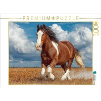 CALVENDO Puzzle Kraftvolles Clydesdale-Pferd in Bewegung 1000 Teile Lege-Größe 64x48cm Foto-Puzzle für glückliche Stunden CALVENDO Puzzle Kraftvolles Clydesdale-Pferd in Bewegung 1000 Teile Lege-Größe 64x48cm Foto-Puzzle für glückliche Stunden von Calvendo Puzzle