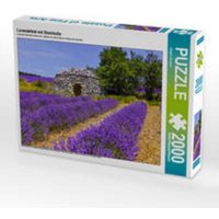 CALVENDO Puzzle Lavendefeld mit Steinhütte 2000 Teile Lege-Größe 90 × 67 cm Foto-Puzzle für glückliche Stunden CALVENDO Puzzle Lavendefeld mit Steinhütte 2000 Teile Lege-Größe 90 × 67 cm Foto-Puzzle für glückliche Stunden von Calvendo Puzzle