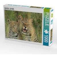 CALVENDO Puzzle Leoparden - Vorsicht! 1000 Teile Lege-Größe 64 x 48 cm Foto-Puzzle Bild von Michael Herzog von Calvendo Puzzle