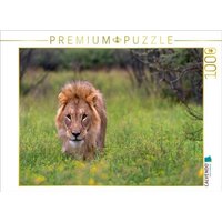 CALVENDO Puzzle Löwenmann während der Regenzeit 1000 Teile Lege-Größe 64x48cm Foto-Puzzle für glückliche Stunden CALVENDO Puzzle Löwenmann während der Regenzeit 1000 Teile Lege-Größe 64x48cm Foto-Puzzle für glückliche Stunden von Calvendo Puzzle