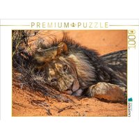CALVENDO Puzzle Mächtiger Löwenmann ruht im roten Sand der Kalahari 1000 Teile Lege-Größe 64x48cm Foto-Puzzle für glückliche Stunden CALVENDO Puzzle Mächtiger Löwenmann ruht im roten Sand der Kalahari 1000 Teile Lege-Größe 64x48cm Foto-Puzzle für glückliche Stunden von Calvendo Puzzle