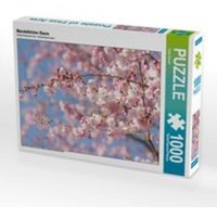 CALVENDO Puzzle Mandelblüten Baum 1000 Teile Lege-Größe 64 x 48 cm Foto-Puzzle Bild von Tanja Riedel von xxx