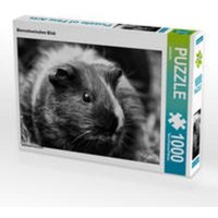 CALVENDO Puzzle Meerschweinchen Blick 1000 Teile Lege-Größe 64 x 48 cm Foto-Puzzle Bild von kattobello von xxx