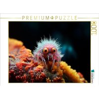 CALVENDO Puzzle Montag vor dem Kaffee - Lustige Mikroorganismen 1000 Teile Lege-Größe 64x48cm Foto-Puzzle für glückliche Stunden CALVENDO Puzzle Montag vor dem Kaffee - Lustige Mikroorganismen 1000 Teile Lege-Größe 64x48cm Foto-Puzzle für glückliche Stunden von Calvendo Puzzle