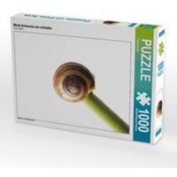 CALVENDO Puzzle Müde Schnecke am schlafen 1000 Teile Lege-Größe 64 x 48 cm Foto-Puzzle Bild von Tanja Riedel von Calvendo Puzzle