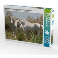 CALVENDO Puzzle Natürliches Pferdeleben in der Camargue: Hengst und Stute 1000 Teile Lege-Größe 64 x 48 cm Foto-Puzzle Bild von Meike Bölts von xxx