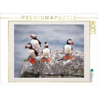 CALVENDO Puzzle Papageientaucher in ihrer natürlichen Umgebung | 1000 Teile Lege-Größe 64x48cm Foto-Puzzle für glückliche Stunden von Calvendo Puzzle