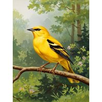 CALVENDO Puzzle Pirol - seltener Vogel als Gemälde 1000 Teile Lege-Größe 64x48cm Foto-Puzzle für glückliche Stunden CALVENDO Puzzle Pirol - seltener Vogel als Gemälde 1000 Teile Lege-Größe 64x48cm Foto-Puzzle für glückliche Stunden von Calvendo Puzzle