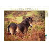 CALVENDO Puzzle Pony im Farbenrausch 1000 Teile Lege-Größe 64x48cm Foto-Puzzle für glückliche Stunden CALVENDO Puzzle Pony im Farbenrausch 1000 Teile Lege-Größe 64x48cm Foto-Puzzle für glückliche Stunden von Calvendo Puzzle