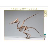 CALVENDO Puzzle Pteranodon-Skelett mit Flügelspannweite und Kammprofil 1000 Teile Lege-Größe 64x48cm Foto-Puzzle für glückliche Stunden CALVENDO Puzzle Pteranodon-Skelett mit Flügelspannweite und Kammprofil 1000 Teile Lege-Größe 64x48cm Foto-Puzzle für glückliche Stunden von Calvendo Puzzle