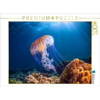 CALVENDO Puzzle Qualle im blauen meer 1000 Teile Lege-Größe 64x48cm Foto-Puzzle für glückliche Stunden CALVENDO Puzzle Qualle im blauen meer 1000 Teile Lege-Größe 64x48cm Foto-Puzzle für glückliche Stunden von Calvendo Puzzle