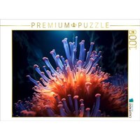 CALVENDO Puzzle Riffgeflüster | 1000 Teile Lege-Größe 64x48cm Foto-Puzzle für glückliche Stunden von Calvendo Puzzle