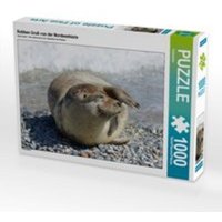 CALVENDO Puzzle Robben Gruß von der Nordseeküste | 1000 Teile Lege-Größe 64x48cm Foto-Puzzle für glückliche Stunden von xxx