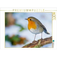 CALVENDO Puzzle Rotkehlchen 1000 Teile Lege-Größe 64 × 48 cm Foto-Puzzle für glückliche Stunden CALVENDO Puzzle Rotkehlchen 1000 Teile Lege-Größe 64 × 48 cm Foto-Puzzle für glückliche Stunden von CALVENDO Verlag GmbH
