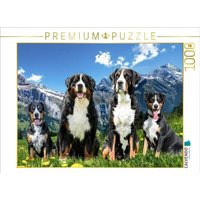 CALVENDO Puzzle Schweizer Sennenhund 1000 Teile Lege-Größe 64x48cm Foto-Puzzle für glückliche Stunden CALVENDO Puzzle Schweizer Sennenhund 1000 Teile Lege-Größe 64x48cm Foto-Puzzle für glückliche Stunden von Calvendo Puzzle