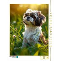 CALVENDO Puzzle Shih Tzu, soll ich mich im Gras verstecken | 1000 Teile Lege-Größe 64x48cm Foto-Puzzle für glückliche Stunden von Calvendo Puzzle