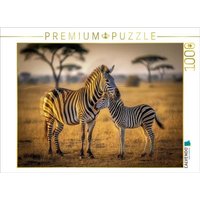 CALVENDO Puzzle Streifen im Sonnenlauf. 1000 Teile Lege-Größe 64 × 48 cm Foto-Puzzle für glückliche Stunden CALVENDO Puzzle Streifen im Sonnenlauf. 1000 Teile Lege-Größe 64 × 48 cm Foto-Puzzle für glückliche Stunden von Calvendo Puzzle