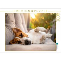 CALVENDO Puzzle Terrier vor der nächsten Action im seligen Schlaf 1000 Teile Lege-Größe 64x48cm Foto-Puzzle für glückliche Stunden CALVENDO Puzzle Terrier vor der nächsten Action im seligen Schlaf 1000 Teile Lege-Größe 64x48cm Foto-Puzzle für glückliche Stunden von Calvendo Puzzle