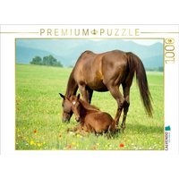 CALVENDO Puzzle Warmblutstute und Fohlen 1000 Teile Lege-Größe 64x48cm Foto-Puzzle für glückliche Stunden CALVENDO Puzzle Warmblutstute und Fohlen 1000 Teile Lege-Größe 64x48cm Foto-Puzzle für glückliche Stunden von Calvendo Puzzle