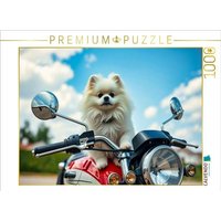 CALVENDO Puzzle Weißer Pomeranian 1000 Teile Lege-Größe 64x48cm Foto-Puzzle für glückliche Stunden CALVENDO Puzzle Weißer Pomeranian 1000 Teile Lege-Größe 64x48cm Foto-Puzzle für glückliche Stunden von Calvendo Puzzle