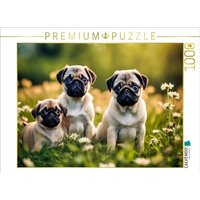 CALVENDO Puzzle Welpen auf einer Wiese 1000 Teile Lege-Größe 64x48cm Foto-Puzzle für glückliche Stunden CALVENDO Puzzle Welpen auf einer Wiese 1000 Teile Lege-Größe 64x48cm Foto-Puzzle für glückliche Stunden von Calvendo Puzzle