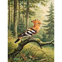 CALVENDO Puzzle Wiedehopf als Gemälde 1000 Teile Lege-Größe 64x48cm Foto-Puzzle für glückliche Stunden CALVENDO Puzzle Wiedehopf als Gemälde 1000 Teile Lege-Größe 64x48cm Foto-Puzzle für glückliche Stunden von Calvendo Puzzle