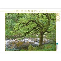 CALVENDO Puzzle Wilder Fluss in üppig grüner Natur 1000 Teile Lege-Größe 64x48cm Foto-Puzzle für glückliche Stunden CALVENDO Puzzle Wilder Fluss in üppig grüner Natur 1000 Teile Lege-Größe 64x48cm Foto-Puzzle für glückliche Stunden von CALVENDO Verlag GmbH