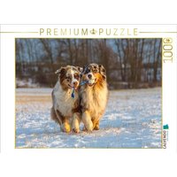 CALVENDO Puzzle Wir ziehen an einem Strang! 1000 Teile Lege-Größe 64x48cm Foto-Puzzle für glückliche Stunden CALVENDO Puzzle Wir ziehen an einem Strang! 1000 Teile Lege-Größe 64x48cm Foto-Puzzle für glückliche Stunden von Calvendo Puzzle