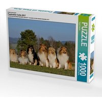 Ein Motiv aus dem Kalender Faszination Collie 2017 (Puzzle) von Calvendo Puzzle