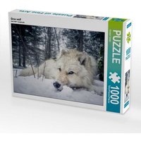 Grau wolf (Puzzle) von CALVENDO Verlag GmbH