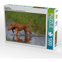 Jagdhund Magyar Vizsla, 1000 Teile von Calvendo Puzzle