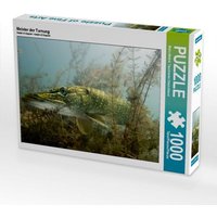 CALVENDO Puzzle Meister der Tarnung | 1000 Teile Lege-Größe 64x48cm Foto-Puzzle für glückliche Stunden von Calvendo Puzzle