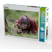 Orang Utan (Puzzle) von Calvendo Puzzle