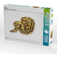 Python (Puzzle) von CALVENDO Verlag GmbH