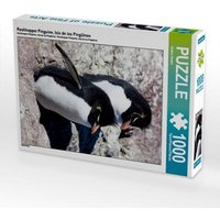 Rockhopper Pinguine, Isla de los Pingüinos (Puzzle) von Calvendo Puzzle