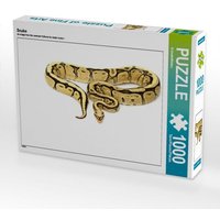 Snake (Puzzle) von CALVENDO Verlag GmbH