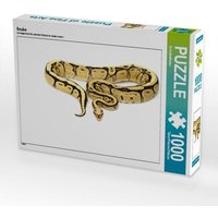 Snake (Puzzle) von CALVENDO Verlag GmbH