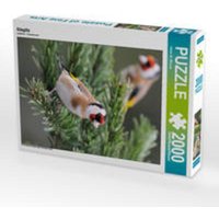 Stieglitz (Puzzle) von Calvendo Puzzle