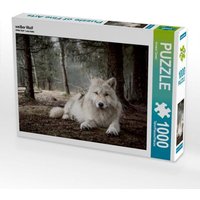 Weißer Wolf (Puzzle) von CALVENDO Verlag GmbH