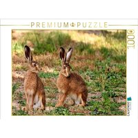 CALVENDO Puzzle Aufmerksame Feldhasen 1000 Teile Lege-Größe 64x48cm Foto-Puzzle für glückliche Stunden CALVENDO Puzzle Aufmerksame Feldhasen 1000 Teile Lege-Größe 64x48cm Foto-Puzzle für glückliche Stunden von Calvendo