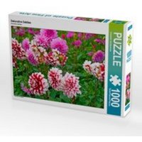 CALVENDO Puzzle Dekorative Dahlien 1000 Teile Lege-Größe 64 x 48 cm Foto-Puzzle Bild von Elisabeth Schittenhelm CALVENDO Puzzle Dekorative Dahlien 1000 Teile Lege-Größe 64 x 48 cm Foto-Puzzle Bild von Elisabeth Schittenhelm von Calvendo Puzzle